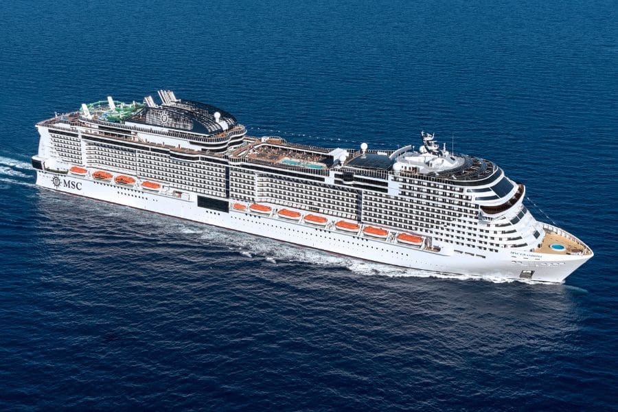 Vou de Dani Turismo Cruzeiro MSC